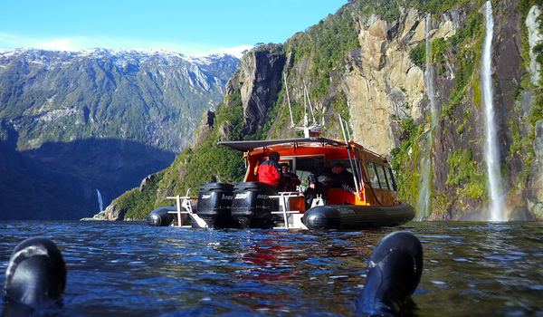 scuba diving in fiorland