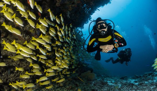 scuba diving in the white island