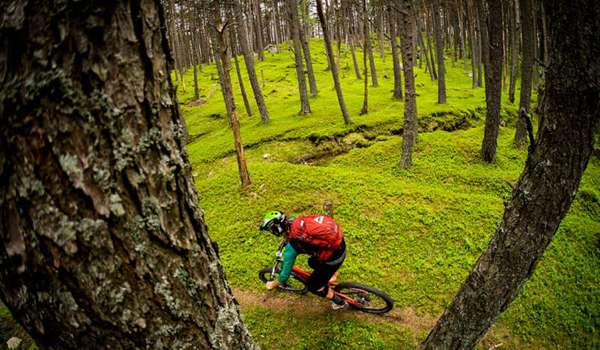Waitangi Mountain Bike Park