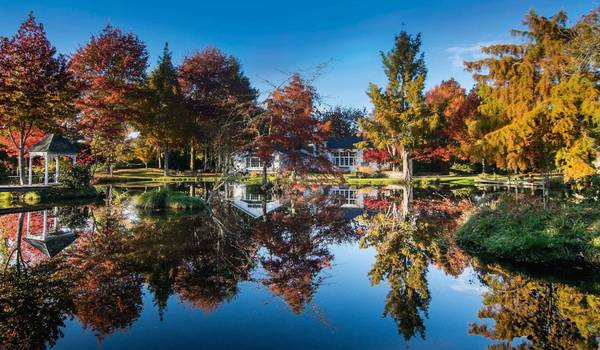 Nelson in autumn