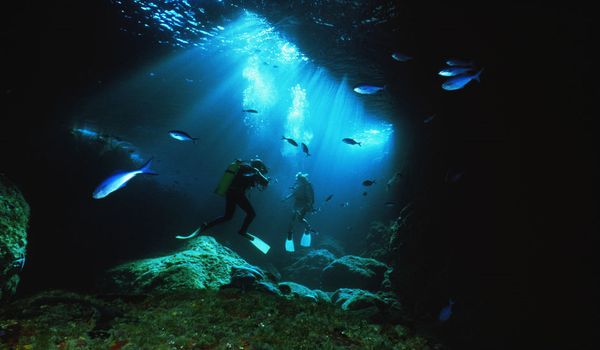 scuba diving in the Poor Knights Marine Reserve
