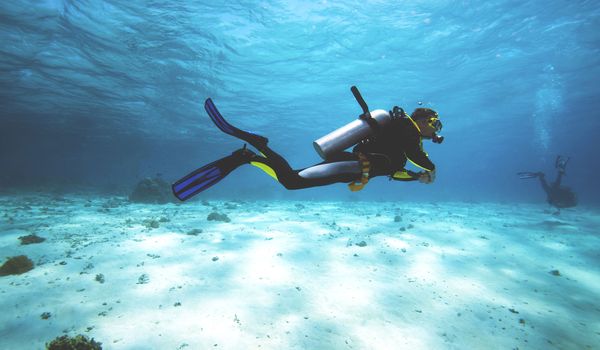 scuba diving in Tawhiti Rahi 