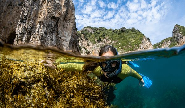 scuba diving in the Mokohinau Islands
