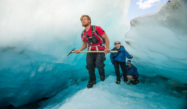 Fox glacier tours