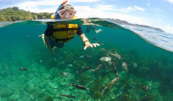 Snorkeling and diving