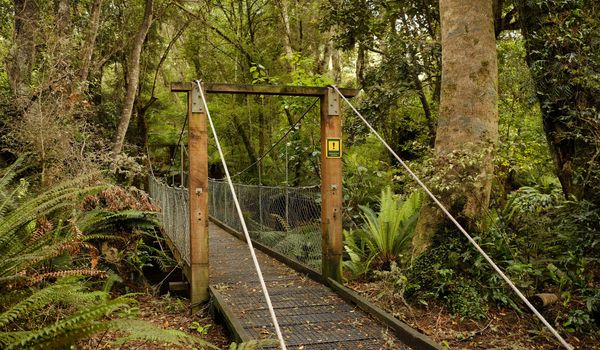Waipohatu Track