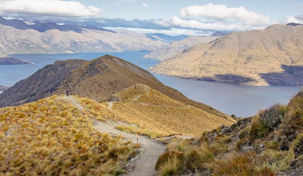 Ben Lomond Track
