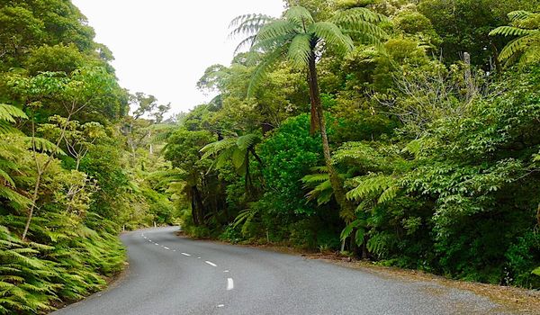 Maungatapere to Kaikohe 