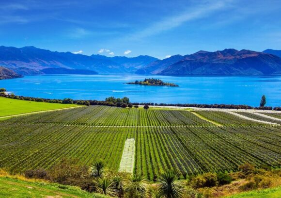 best vineyards and wineries